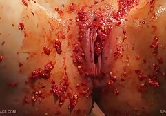 元気な美しさと,長い足,オナニー,毛深い,L.偽と えろ 動画 無料 女性 用